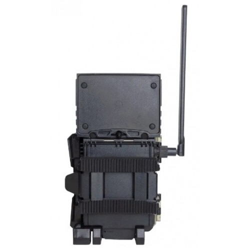 Фотоловушка SPYPOINT LINK-S-DARK в Комсомольске-на-Амуре